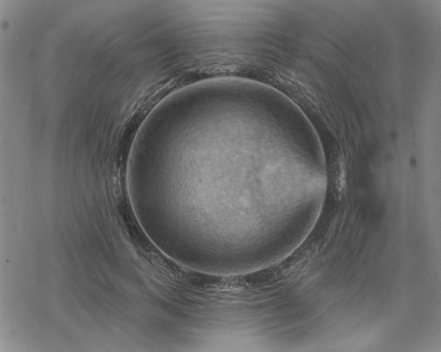 X0000068820743200605051210