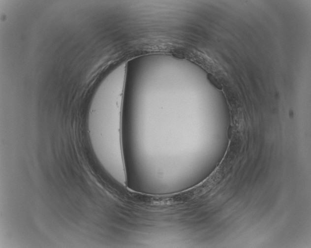 X0000068820744200605051210