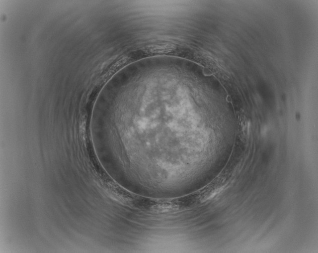 X0000068820745200605051210