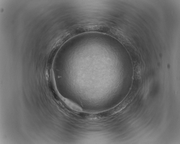 X0000068820746200605051210