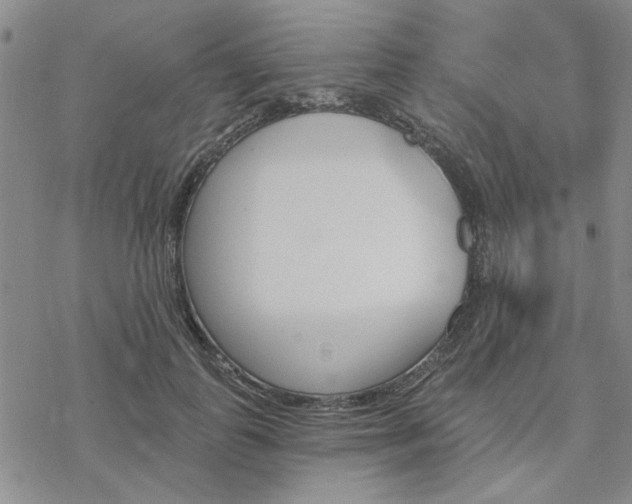 X0000068820747200605051210