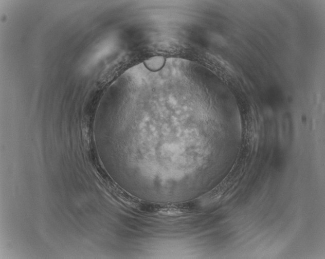 X0000068820749200605051210