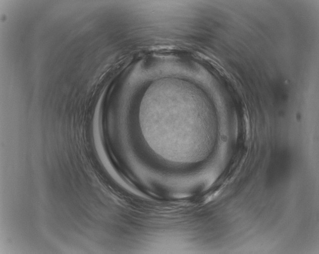 X0000068820750200605051210