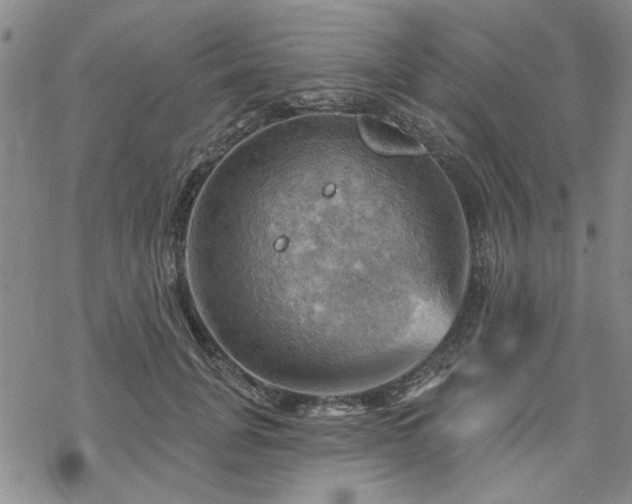 X0000068820751200605051210