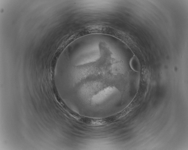 X0000068820753200605051210