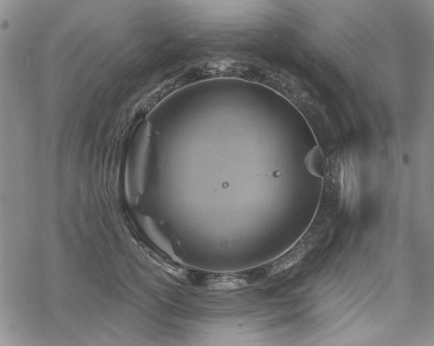 X0000068820754200605051210