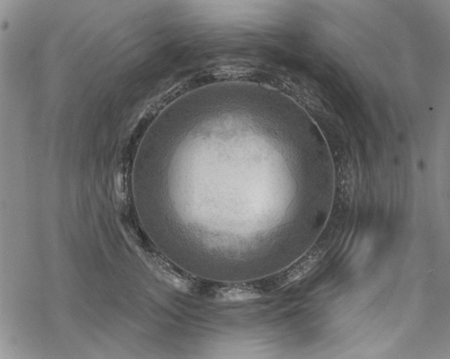 X0000068820755200605051210