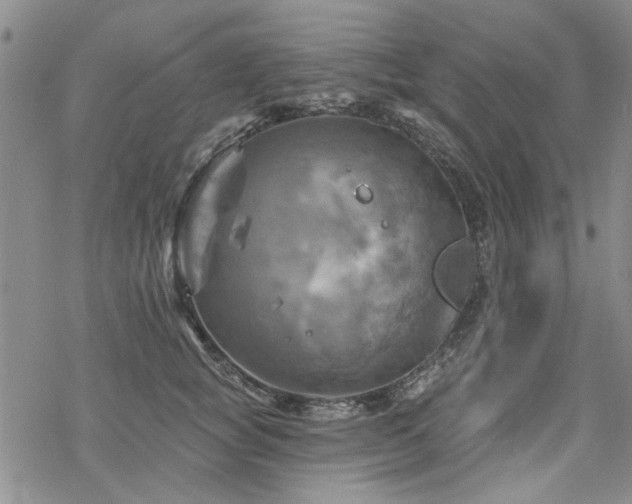 X0000068820757200605051210