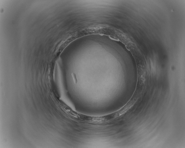 X0000068820758200605051210