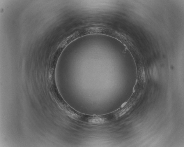 X0000068820759200605051210