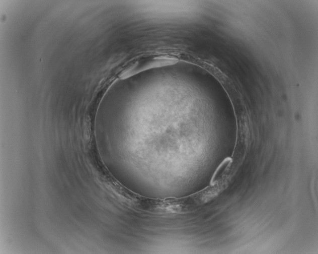 X0000068820760200605051210