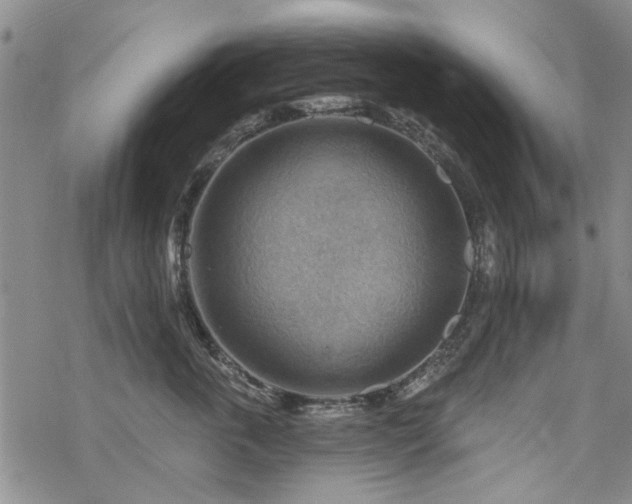 X0000068820763200605051210