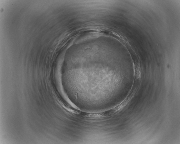 X0000068820766200605051210