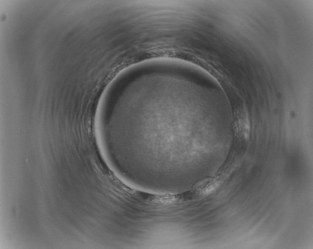 X0000068820767200605051210