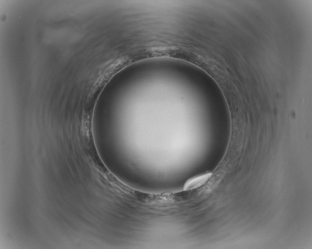 X0000068820768200605051210