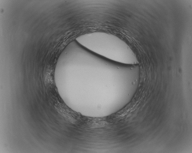 X0000068820770200605051210