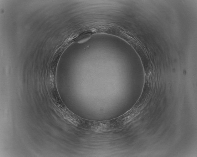 X0000068820772200605051210