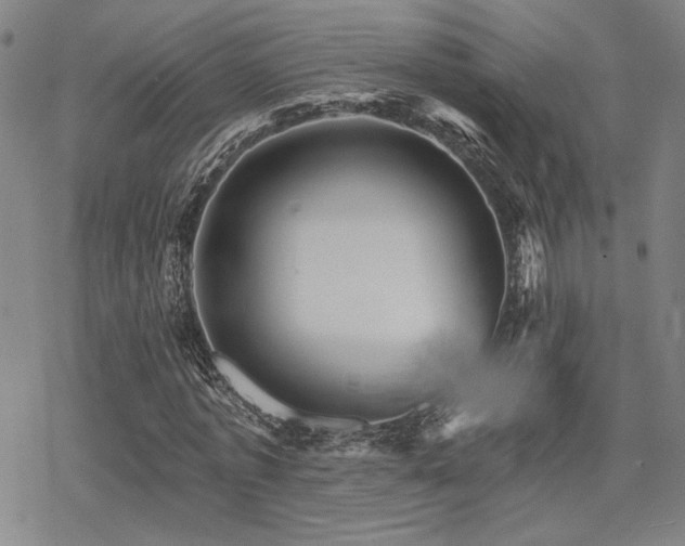 X0000068820773200605051210