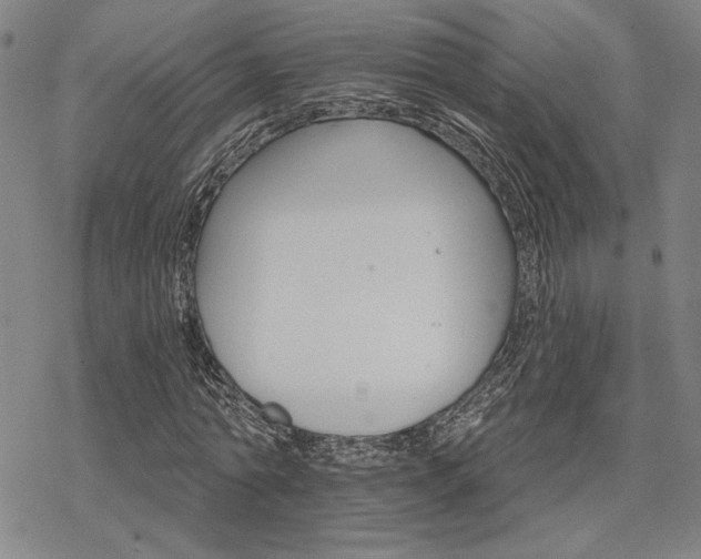 X0000068820774200605051210