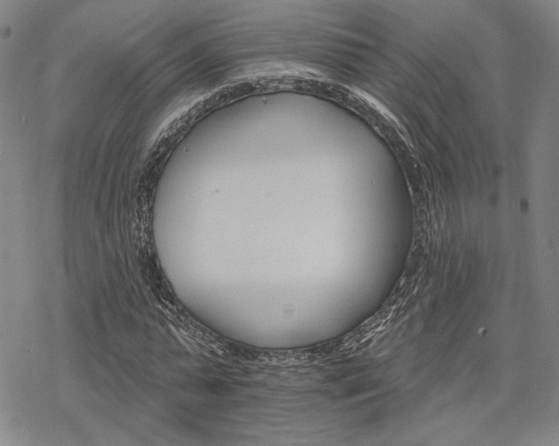 X0000068820775200605051209