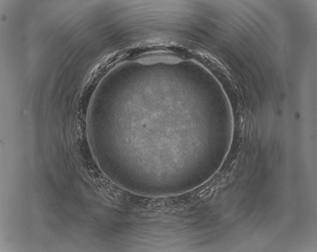 X0000068820776200605051209