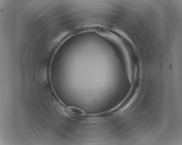 X0000068820777200605051209