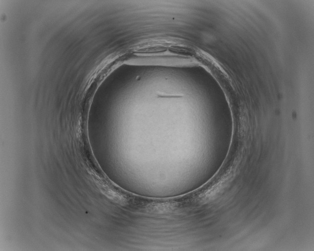 X0000068820778200605051209