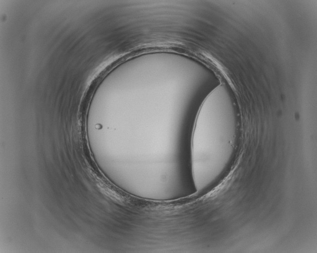 X0000068820779200605051209