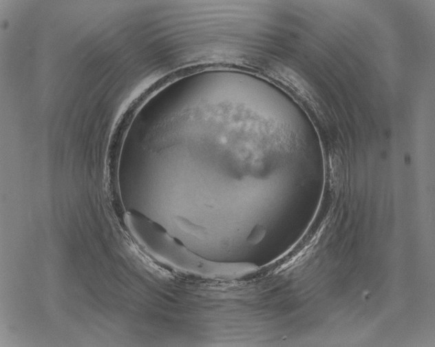 X0000068820780200605051209