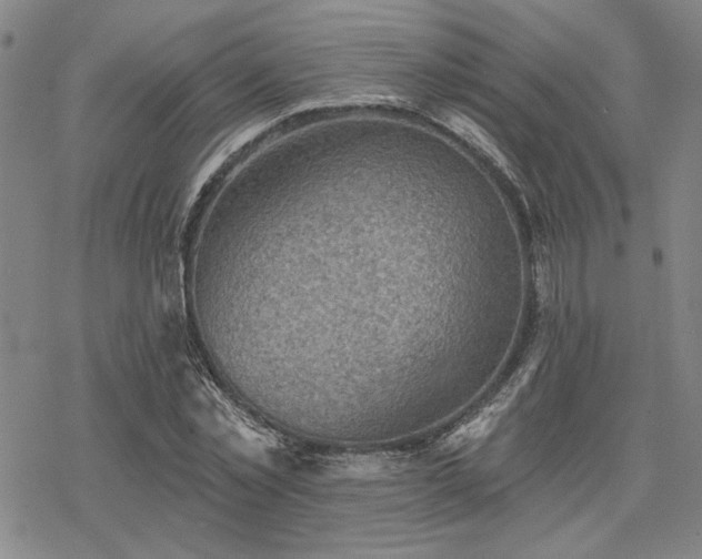 X0000068820781200605051209