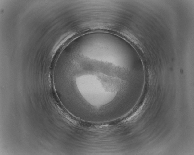 X0000068820782200605051209