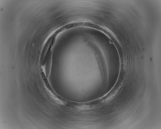 X0000068820783200605051209