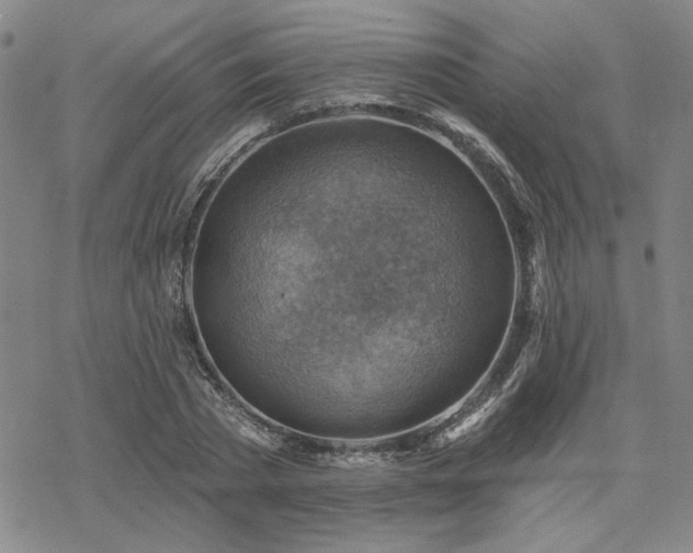 X0000068820785200605051209