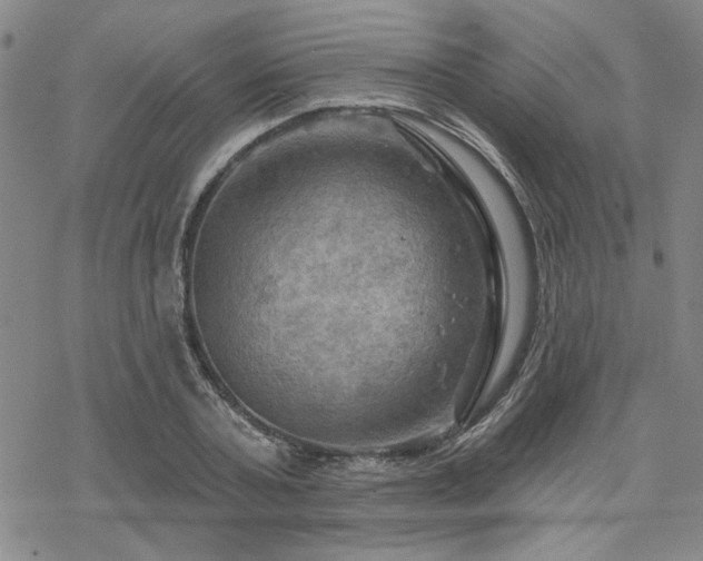 X0000068820787200605051209