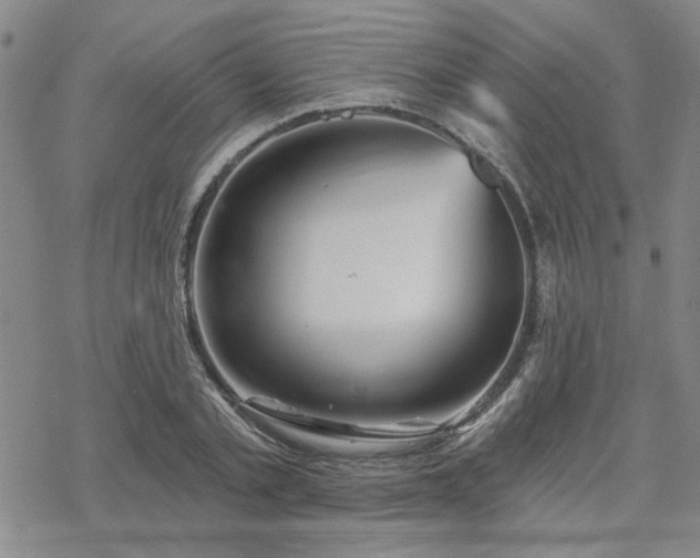 X0000068820789200605051209