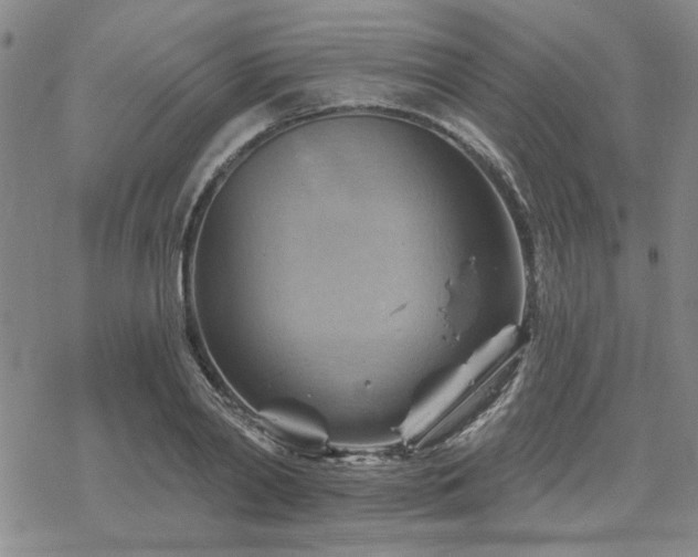 X0000068820790200605051209