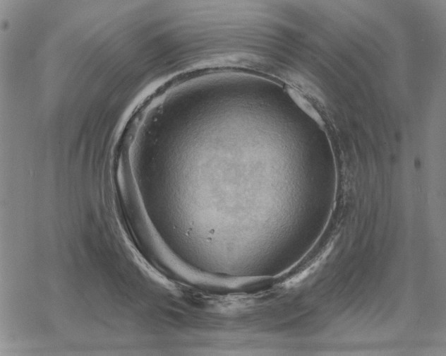 X0000068820792200605051209