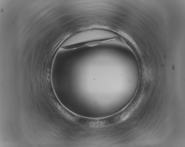 X0000068820793200605051209