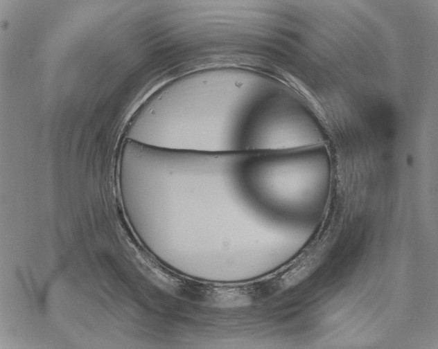 X0000068820794200605051209