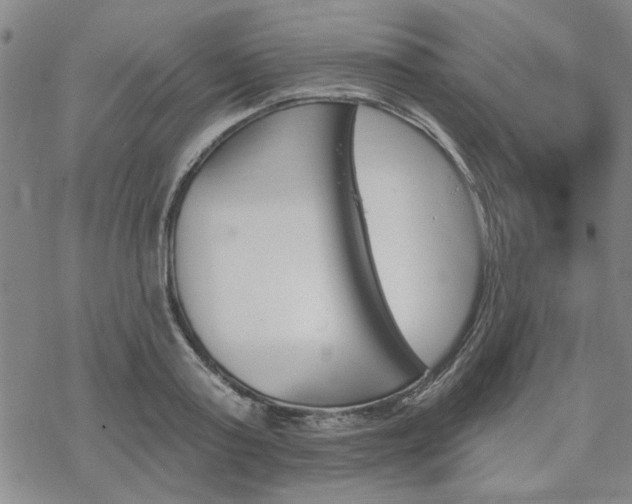 X0000068820795200605051209