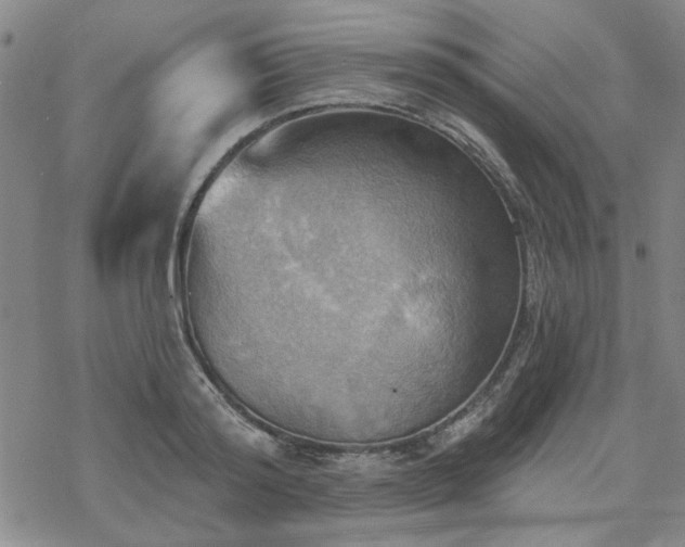 X0000068820796200605051209