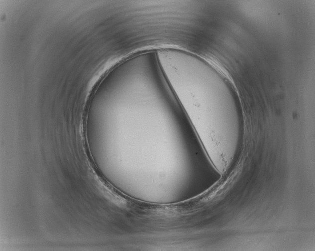 X0000068820797200605051209