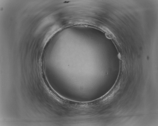 X0000068820798200605051209