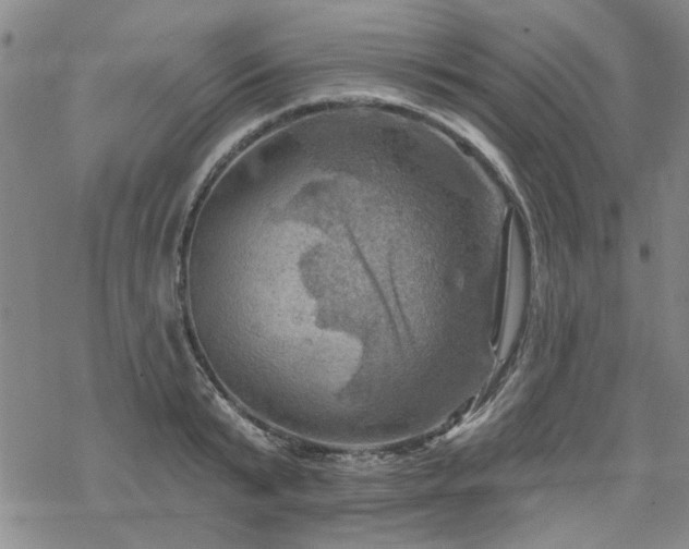 X0000068820799200605051209