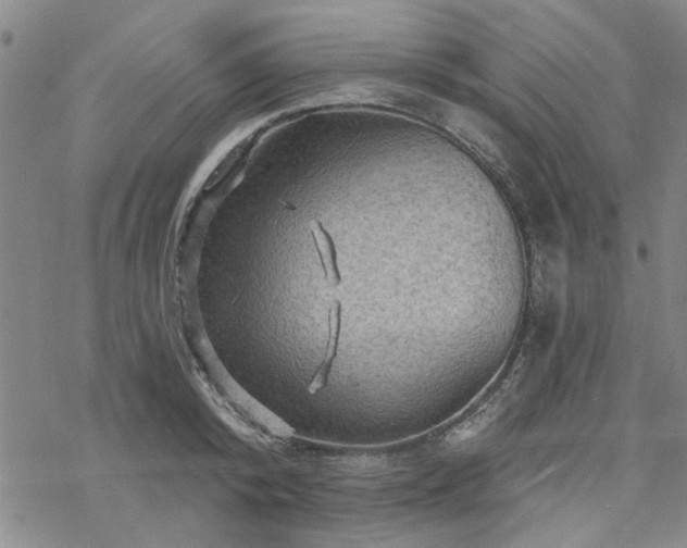 X0000068820800200605051209