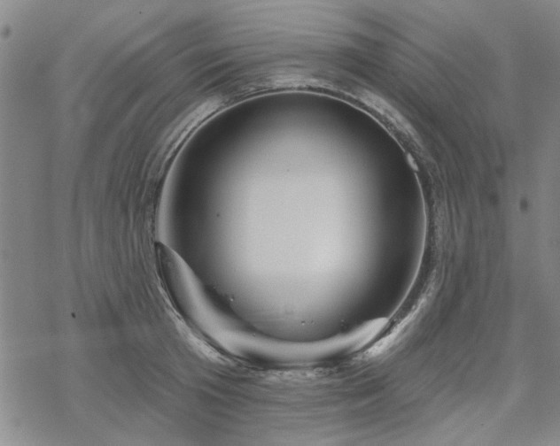 X0000068820801200605051209