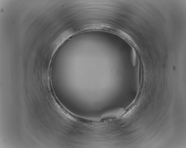 X0000068820802200605051209