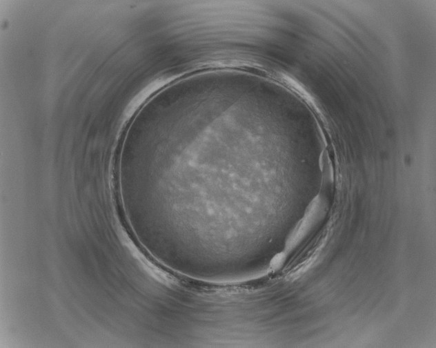 X0000068820803200605051209