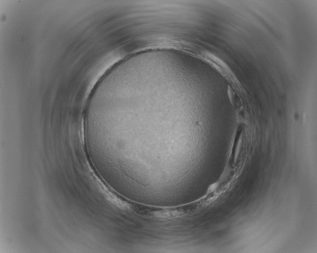 X0000068820804200605051209