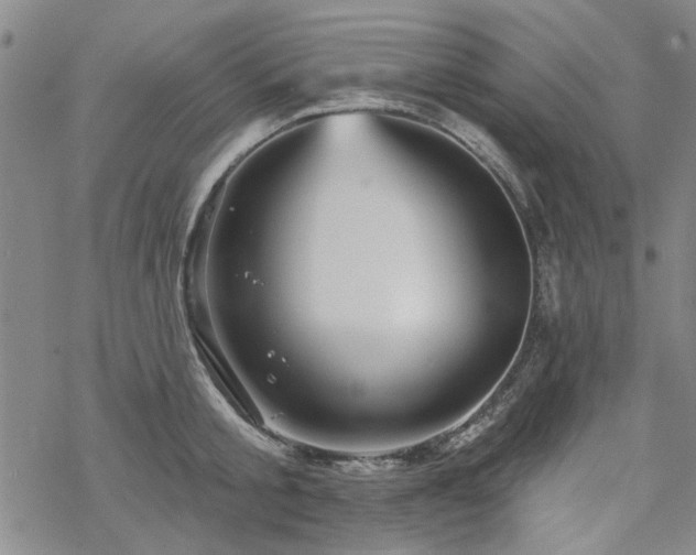 X0000068820805200605051209